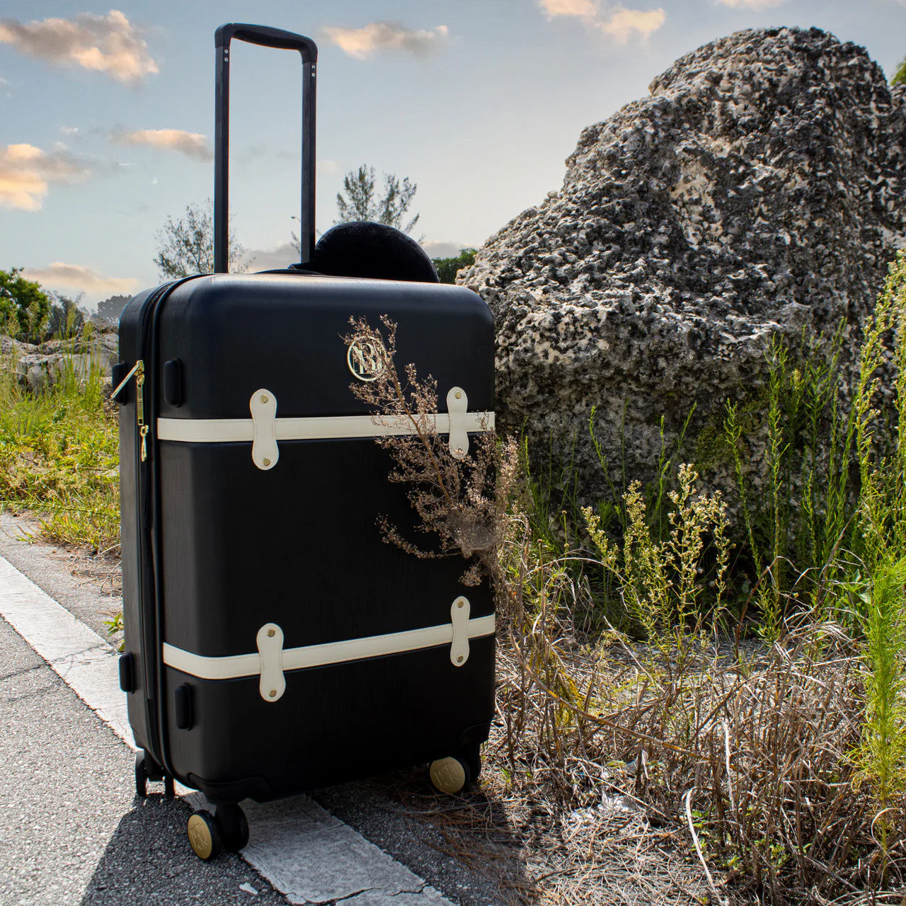 Grace Luggage Set - Image 84