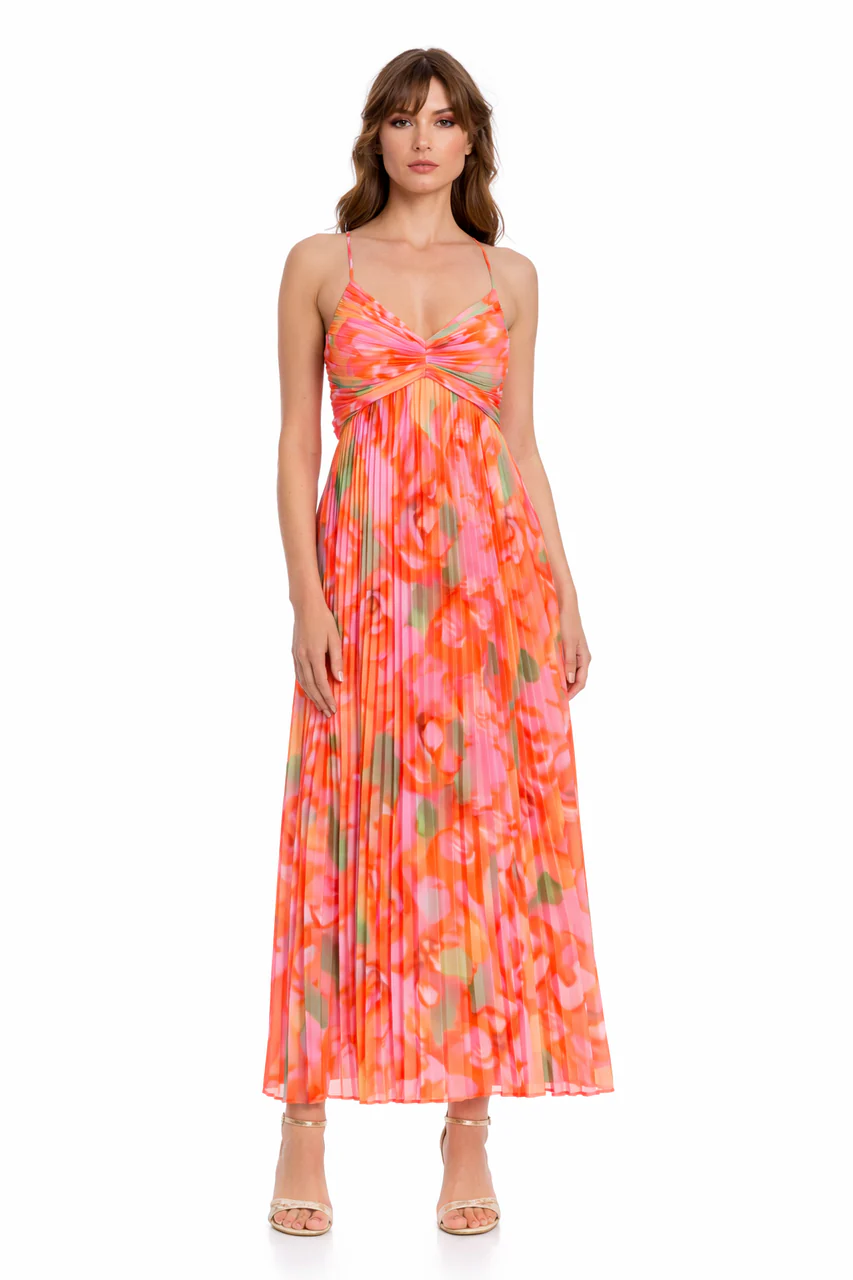 Nelle Floral Print Pleated Maxi Dress